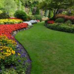 6 Tips for Creating an Aesthetically Pleasing Landscape