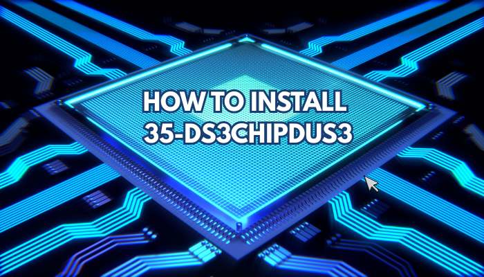 35-ds3 chips